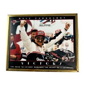 1999 Dale Earnhardt Sr. NASCAR #3 FRAMED Poster 8x10 Gold Frame 90s Daytona 500